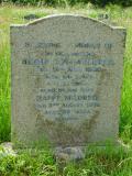 image of grave number 570091